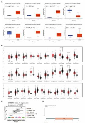 Chemokine-like factor-like MARVEL transmembrane domain containing 6: Bioinformatics and experiments in vitro analyze in glioblastoma multiforme